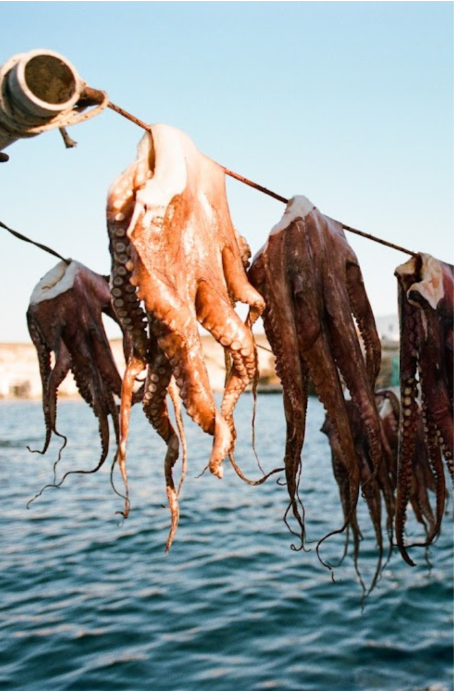 Restaurant exploration and dining in Milos